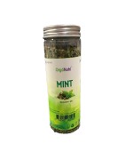 OrgoNutri Dried Mint Leaves, 40g (Dry Pudina Leaves), Seasoning Herb
